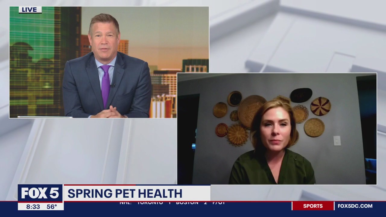 Spring pet health with veterinarian Christine Klippen