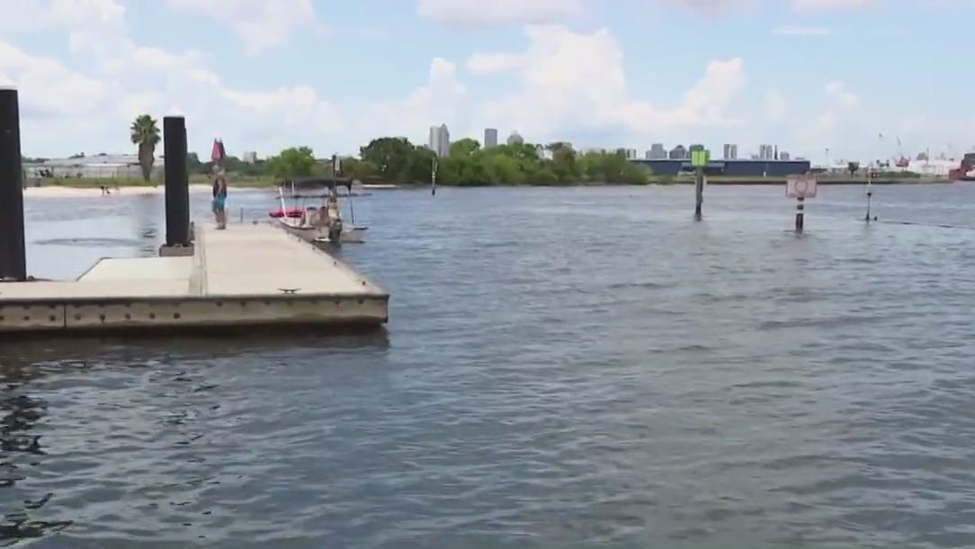 What’s fueling algae blooms in Tampa Bay