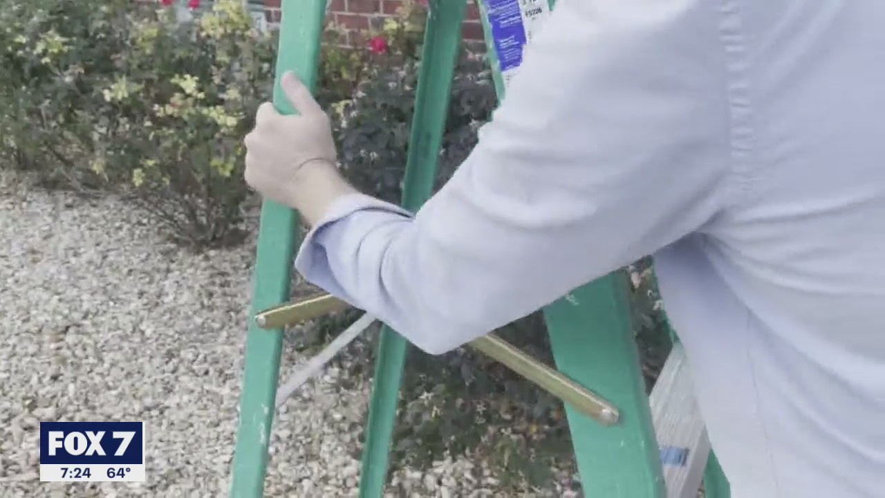 Texas Orthopedics talks after-holiday ladder safety