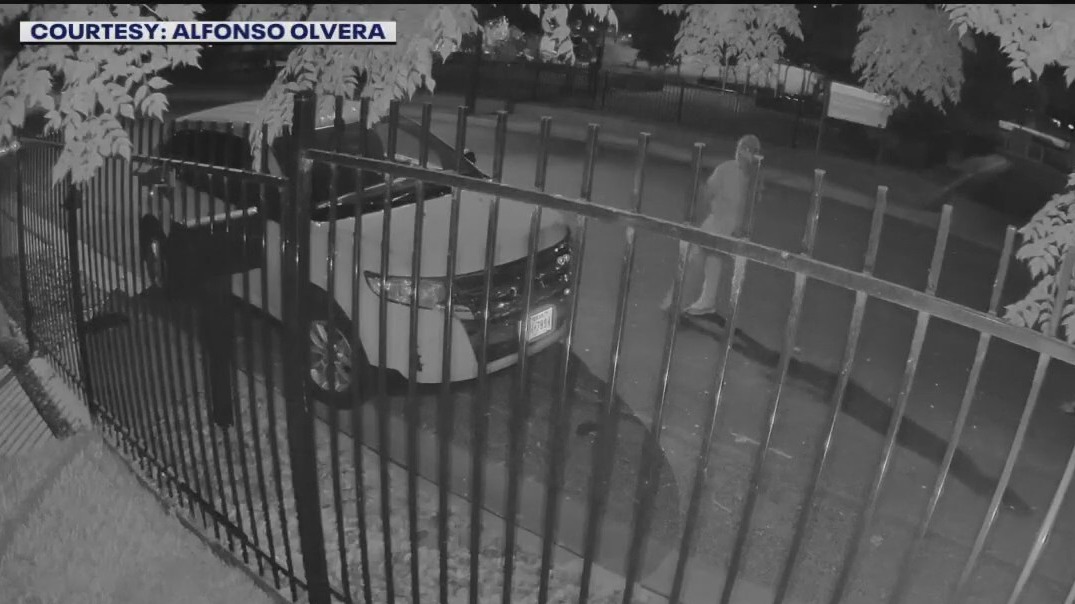 Group caught throwing rocks at house