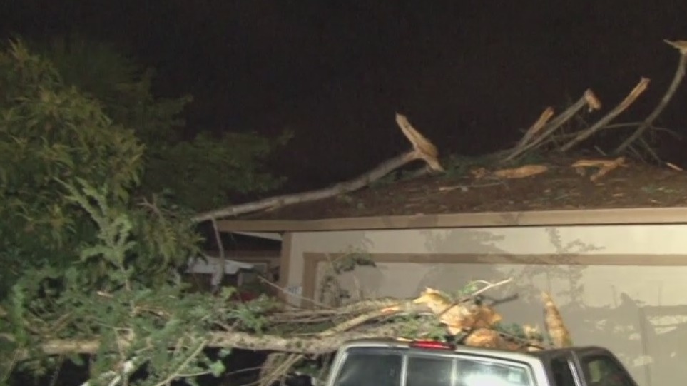 Lightning strikes cause trees to fall in North Bay