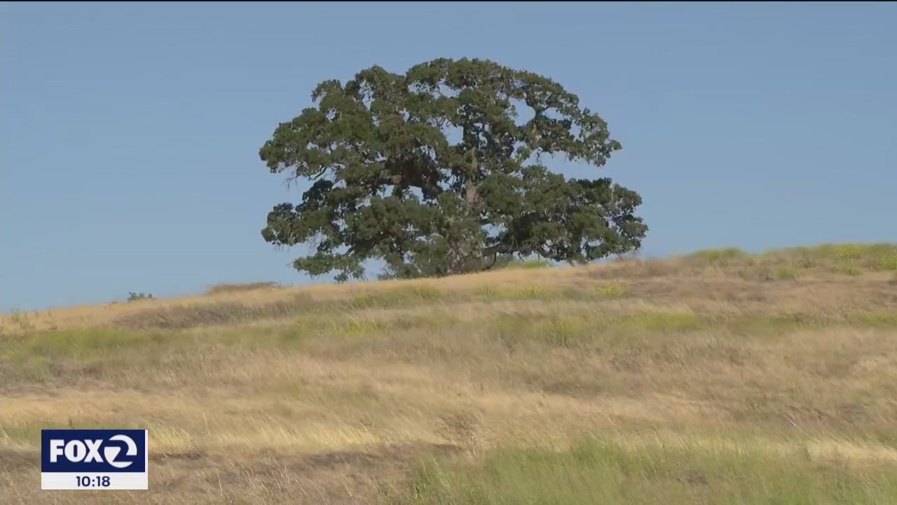 Settle in for hot weather, firefighters prepare for Bay Area heat