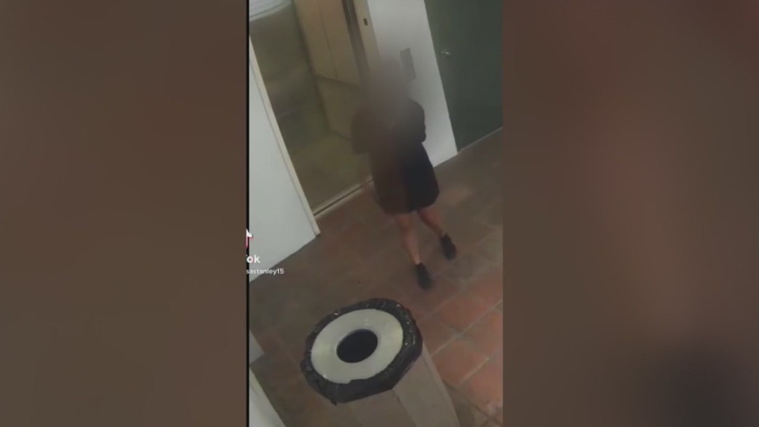 Delivery driver's disgusting actions caught on camera