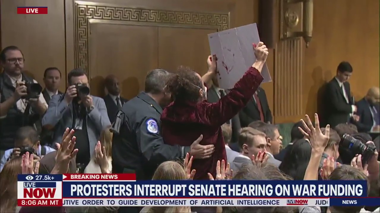 Protestors interrupt Israel-Ukraine funding hearing