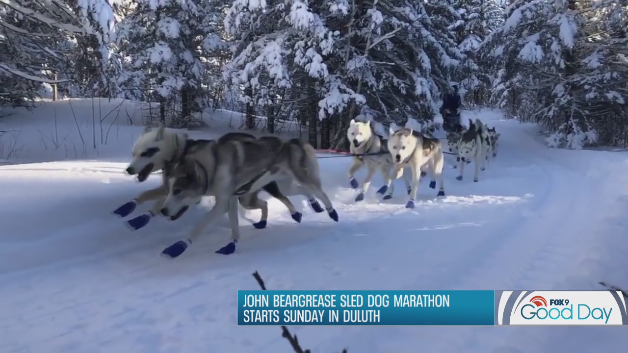 What it takes to win the Beargrease Sled Dog Race