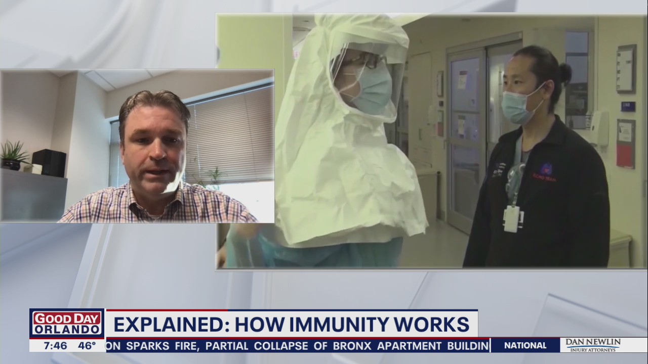 COVID explainer: How immunity works