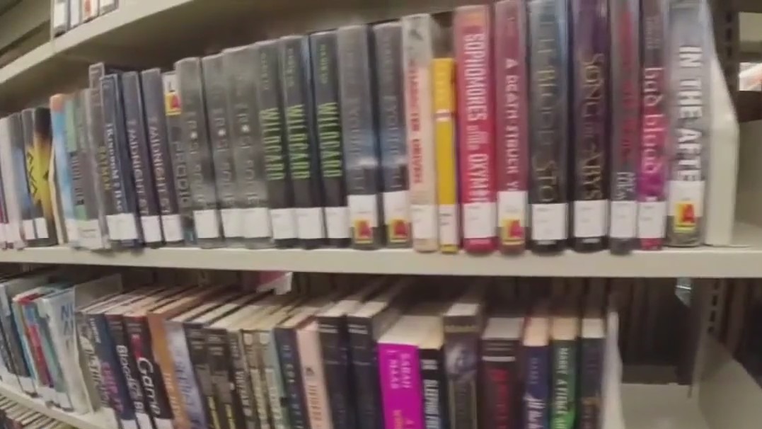 Why books and libraries are important