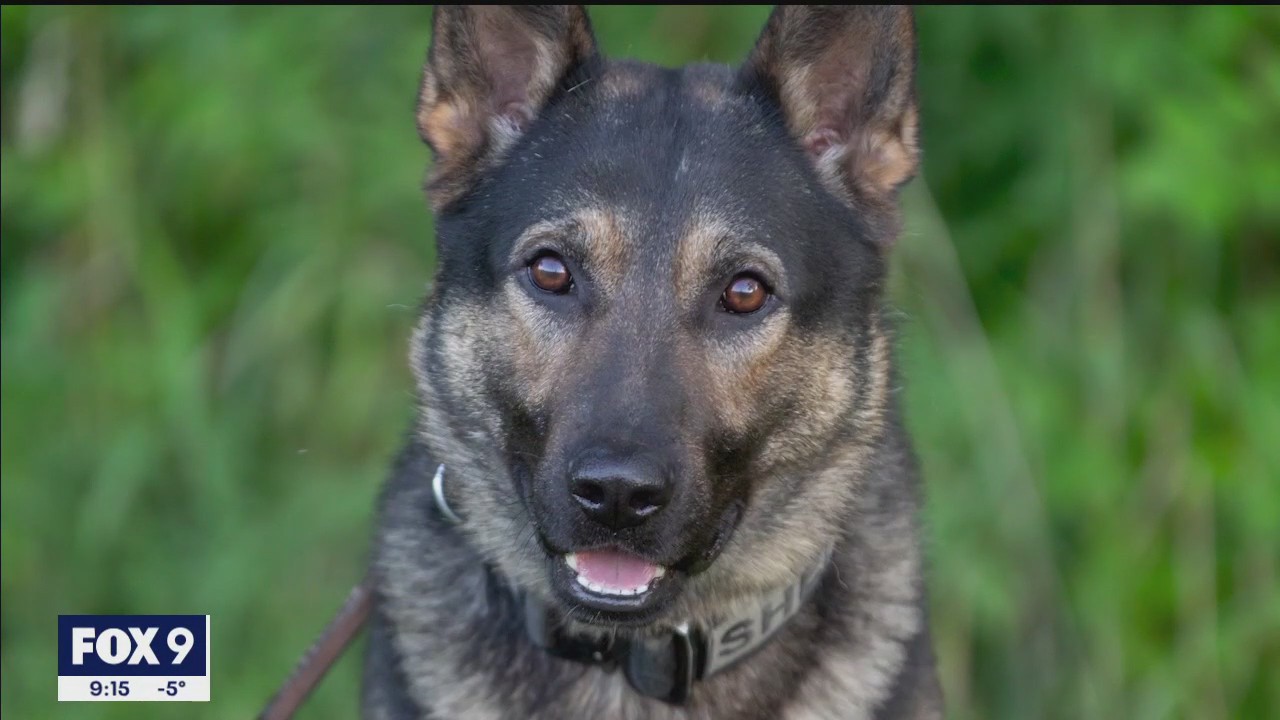 Overwhelming show of support for family of K-9 officer killed in house fire