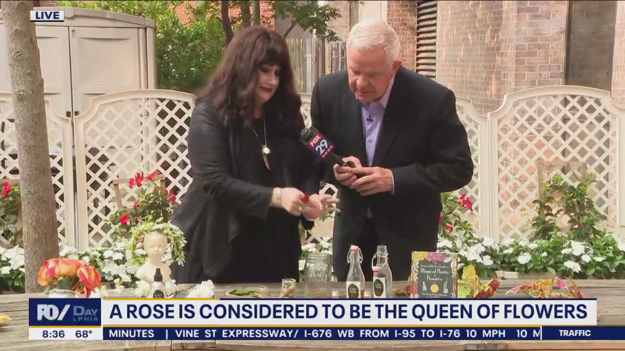 Local 'Green Witch' makes a magical new guidebook about plants