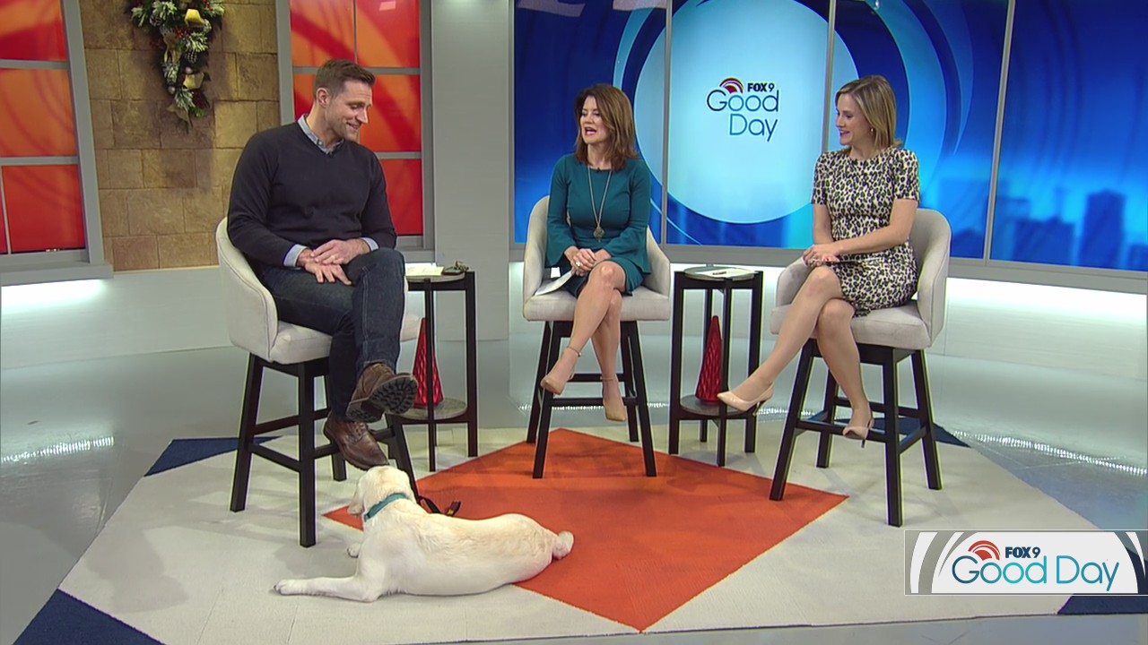 Protecting pets from holiday harms