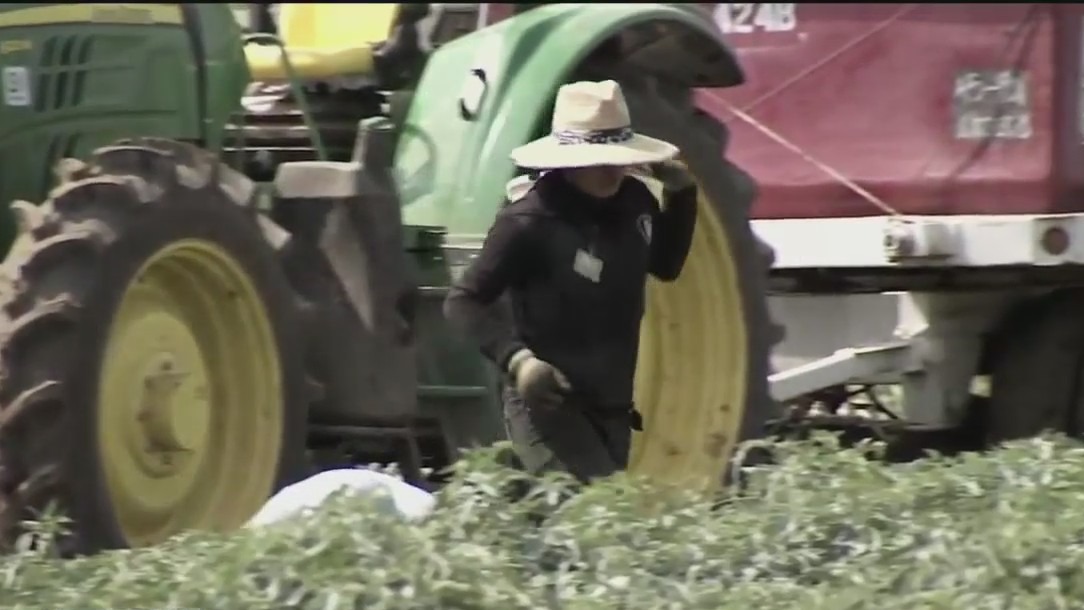 New federal guidelines give farmworkers more rights, protections