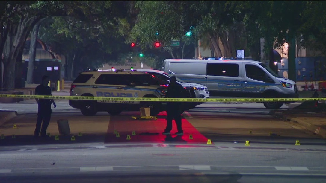 Public safety master plan for Tampa