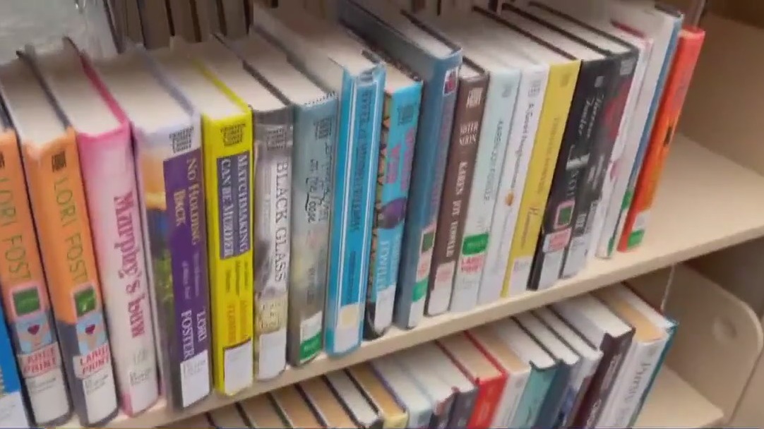 Library book access debate