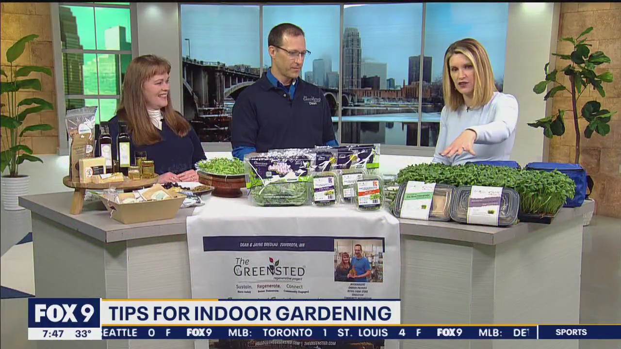 Tips for starting an indoor garden