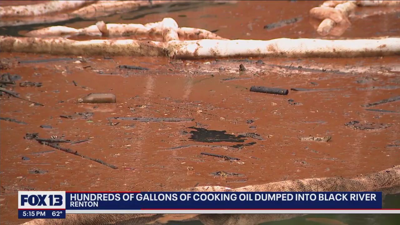 Hundreds of gallons of cooking oil dumped into Black River