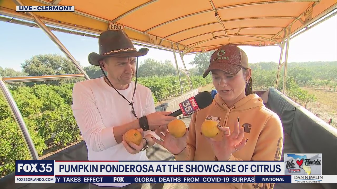 Pumpkin Ponderosa at the Showcase of Citrus