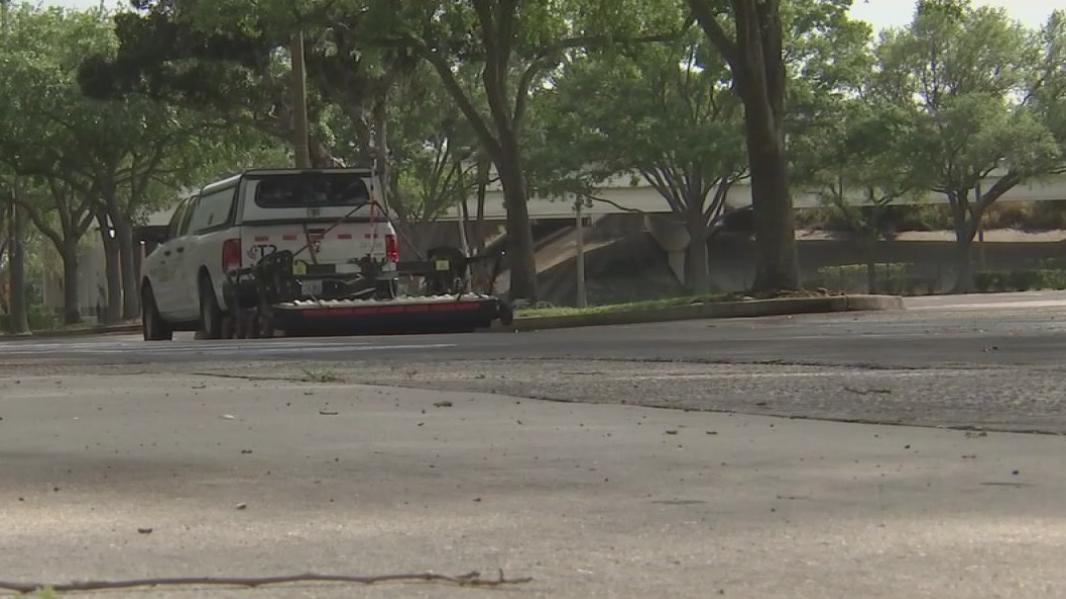 Forgotten Black cemetery may be under Tropicana Field parking lot