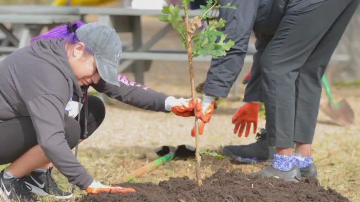TreeFolks teaching Austinites how to plant, care for trees