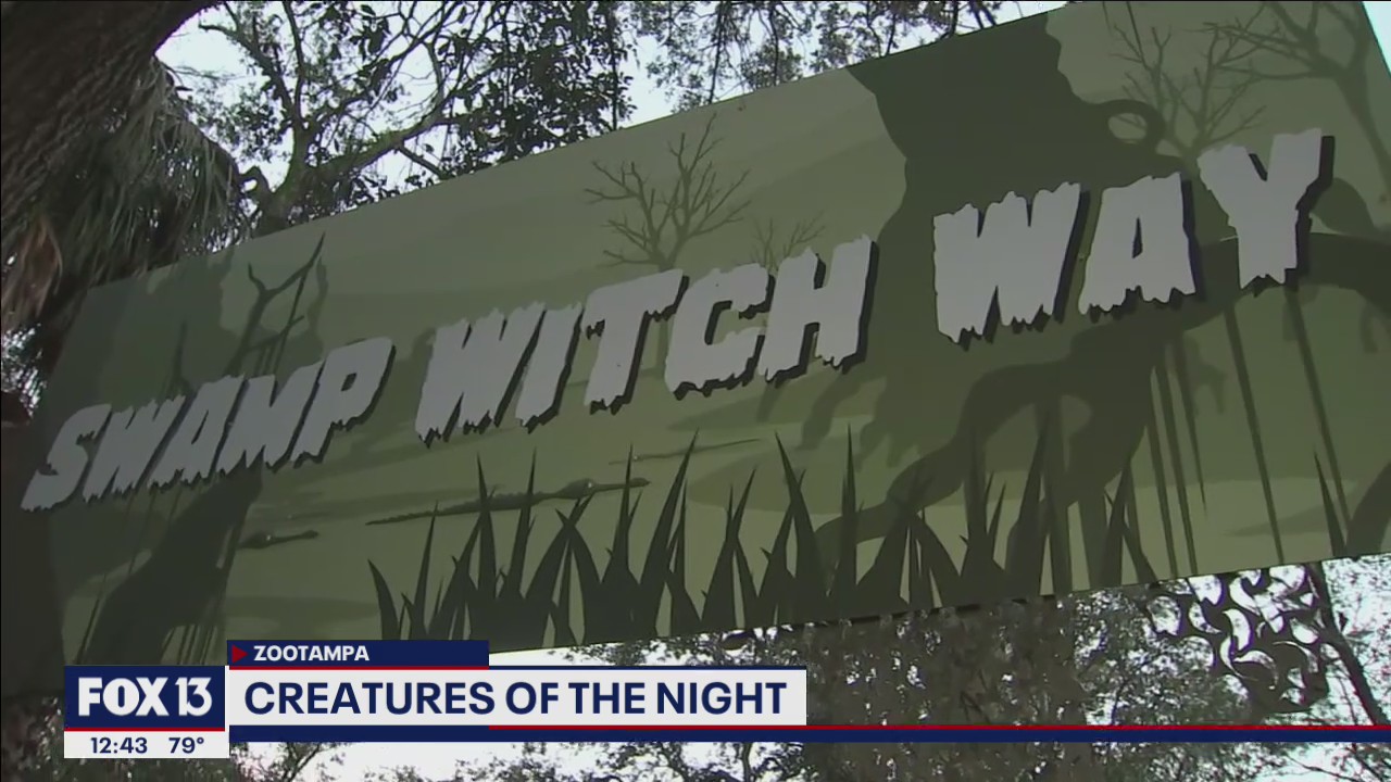 Family friendly haunts at Zoo Tampa for the month of October