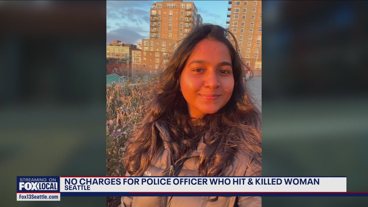 No charges for officer who hit and killed woman in crosswalk