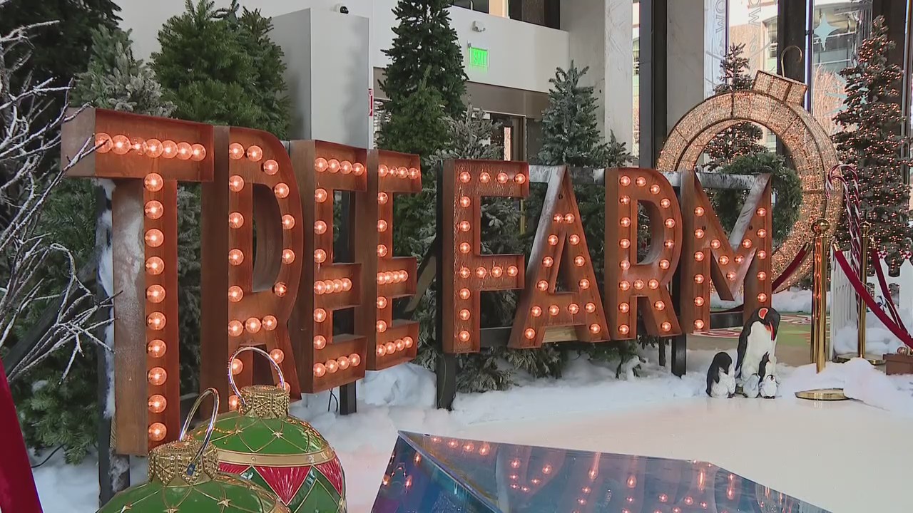 Create memories with Santa for free at 1001 Winter Wonders