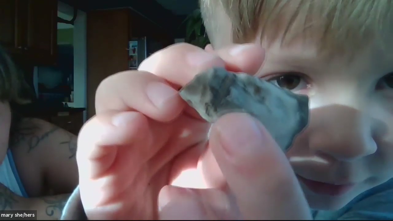 6-year-old finds mastodon dinosaur while on walk in Rochester Hills