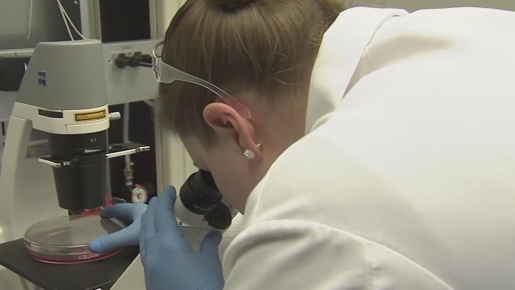 Omicron suspected in Marin holiday party outbreak