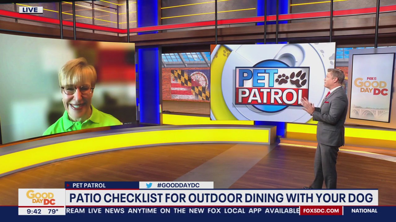 Patio checklist for outdoor dining with your dog