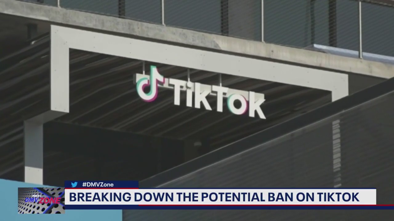 Analysis: Impacts of a potential TikTok ban
