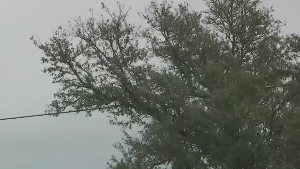 Dry air in Austin causing allergy, skin issues