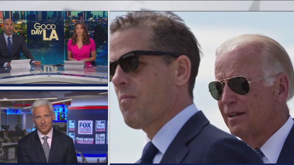 Hunter Biden pleads guilty to federal tax and weapons offenses