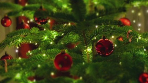 Holiday host and houseguest etiquette