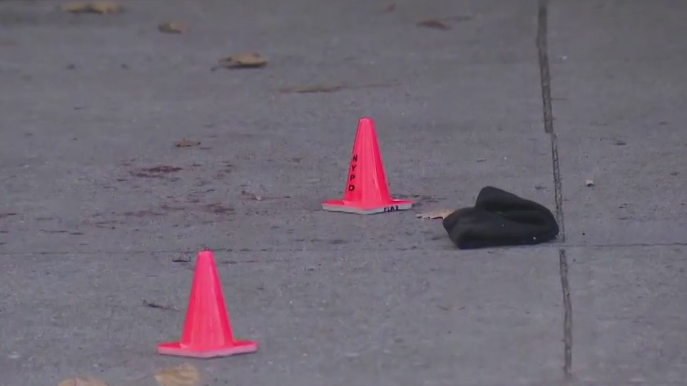 Bronx shooting