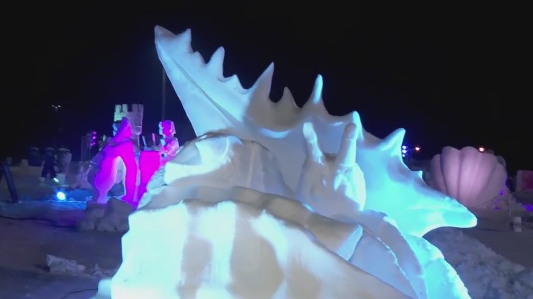 Minnesota State Snow Sculpting Competition winners