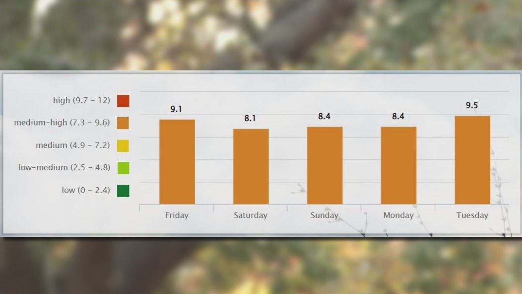 Allergy season comes early in Florida