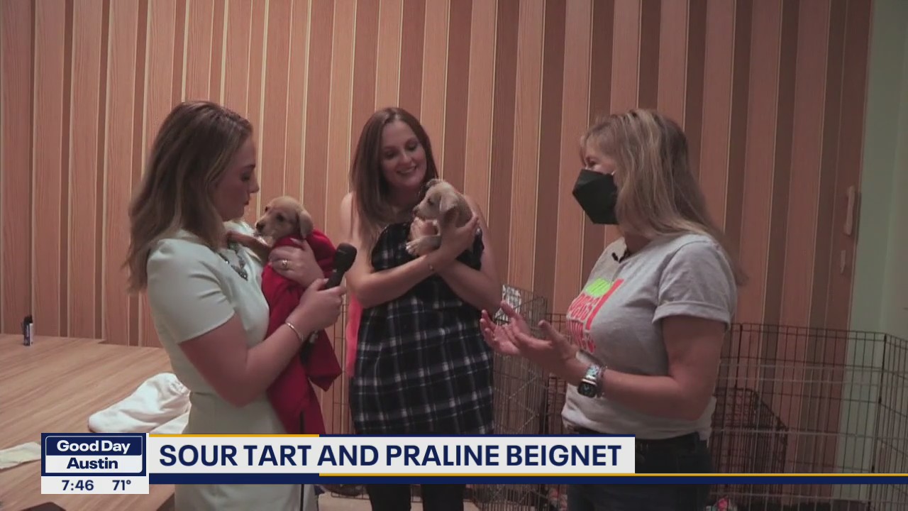 Pet of the Weekend with Austin Pets Alive
