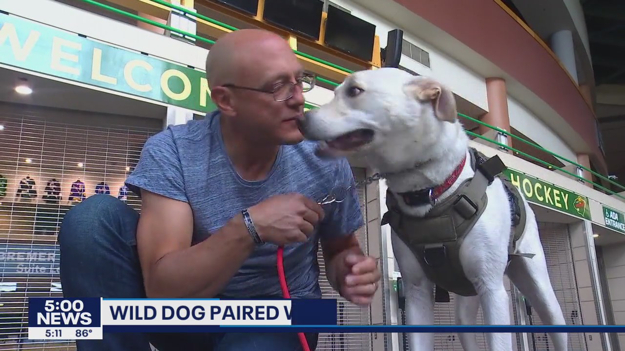 Minnesota Wild team dog gets adopted