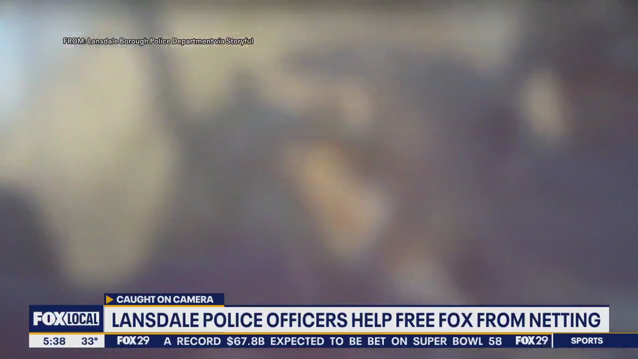 Lansdale police officers help free fox from netting