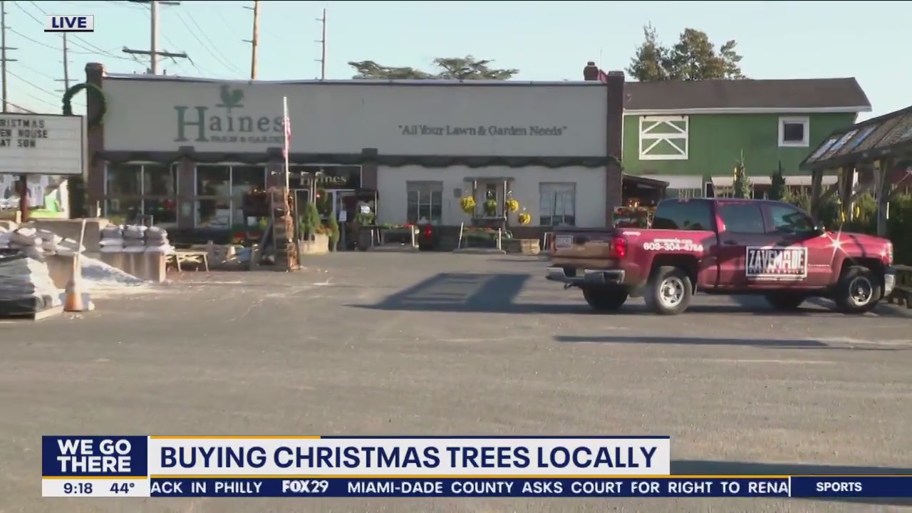 Local Christmas tree vendors prepping for post-Thanksgiving rush