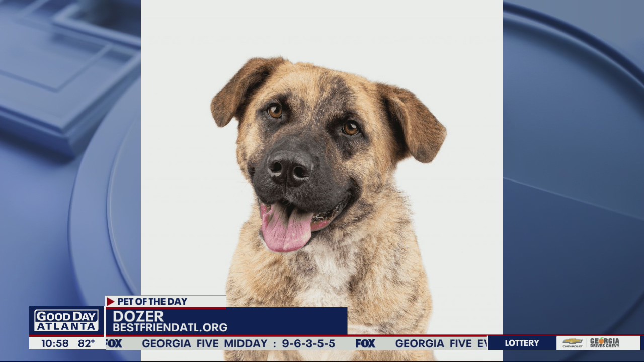 Pet of the Day from Best Friends Animal Society