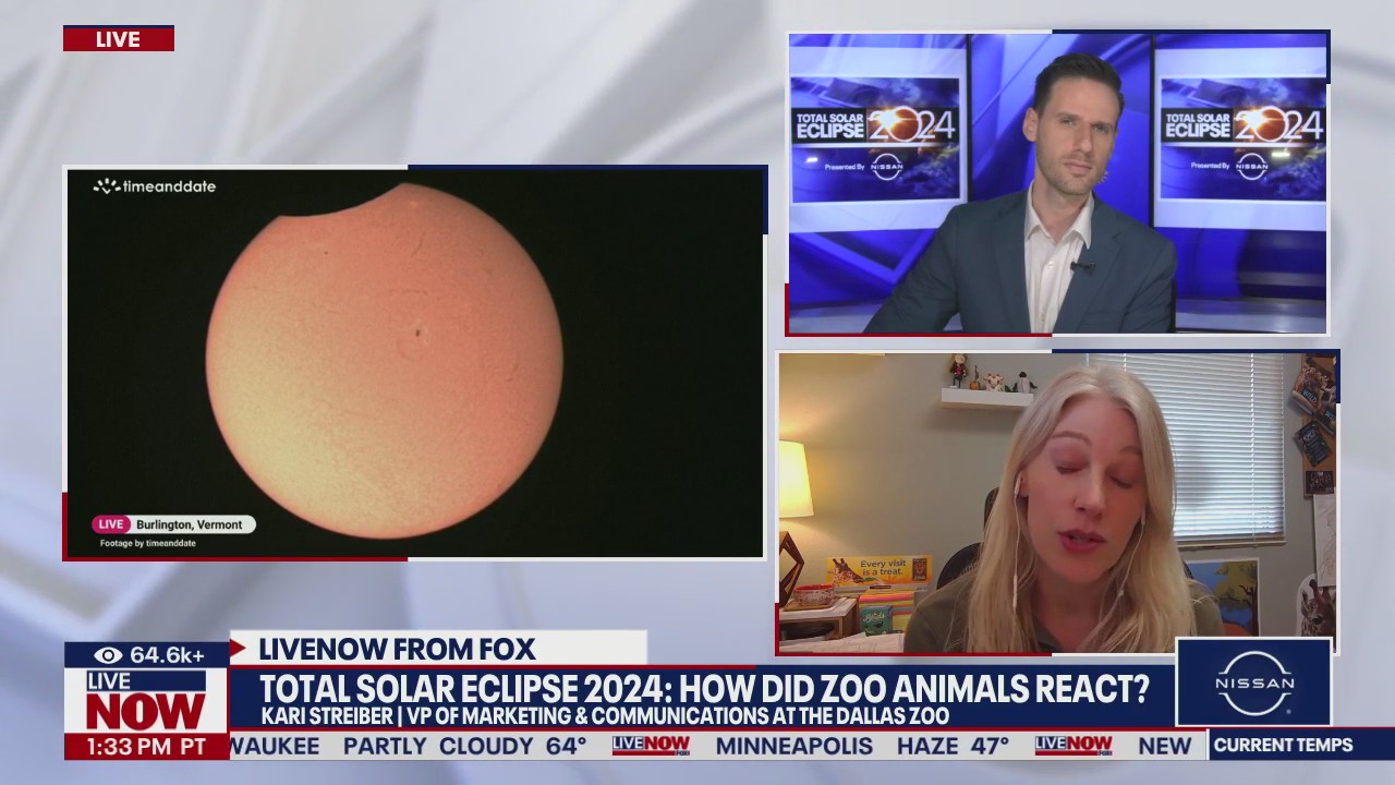 Total solar eclipse 2024: How did zoo animals react?