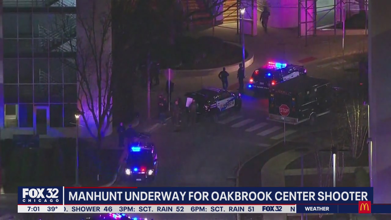 Manhunt underway for second Oakbrook mall shooter