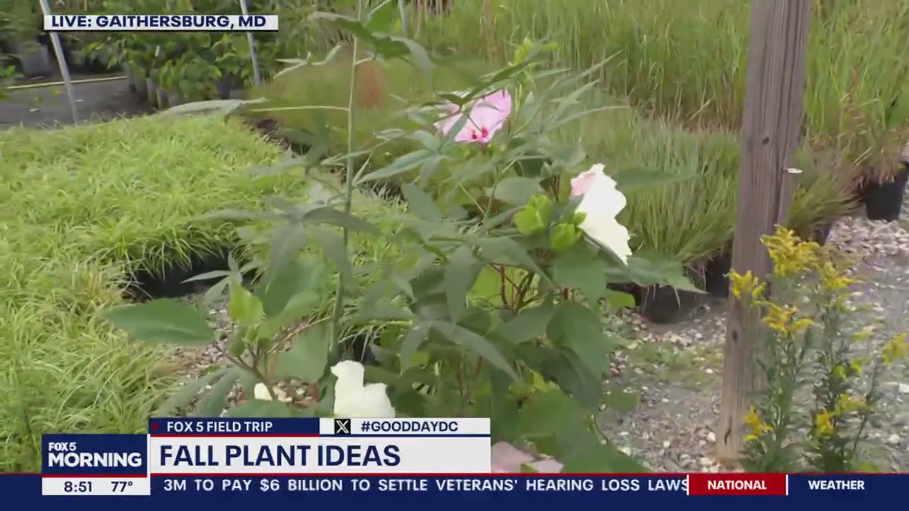 Fall season at Pope Farm