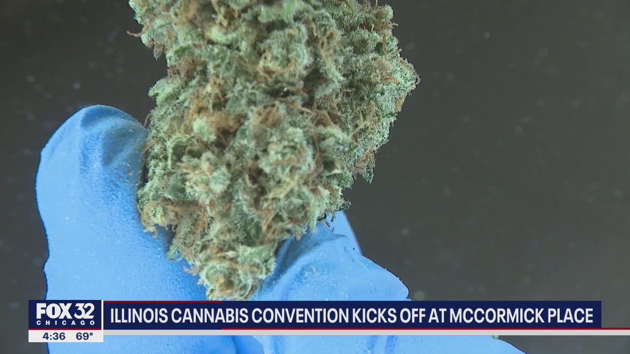 Illinois Cannabis Convention kicks off in Chicago