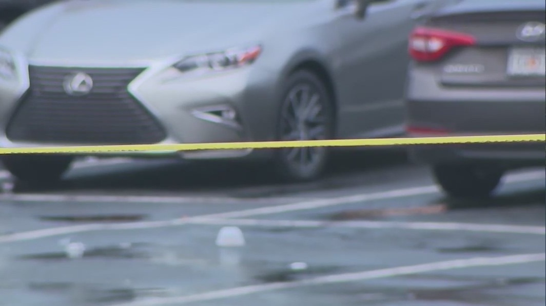 Georgia lawmaker, police discuss gun safety