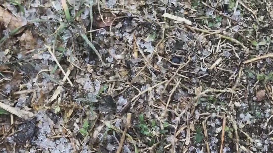 Sleet reported in some areas of Central Texas, residents capture on camera