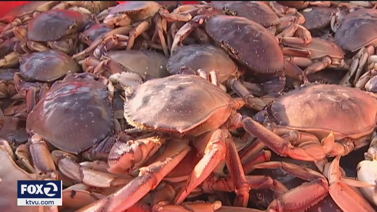 Commercial Crab Season Kicks off in Bay Area