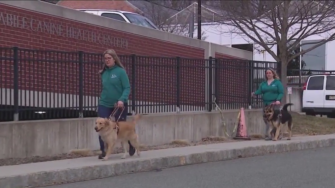 Concerns over guide dogs being denied service