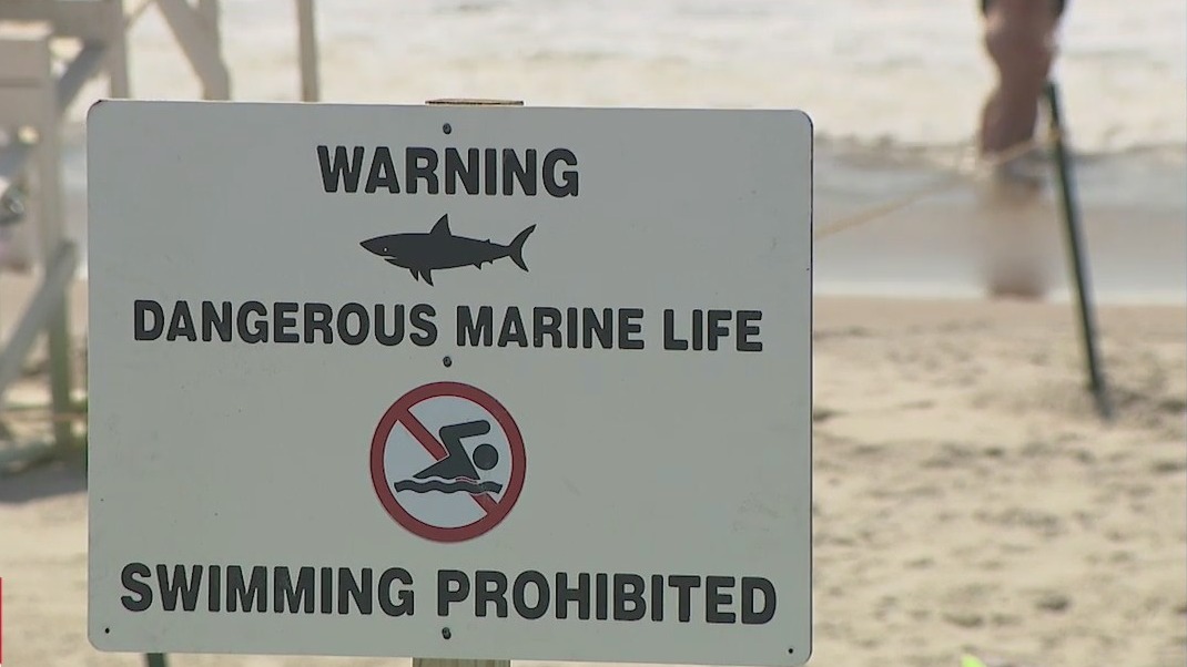 Beachgoers wary over rise in Long Island shark incidents