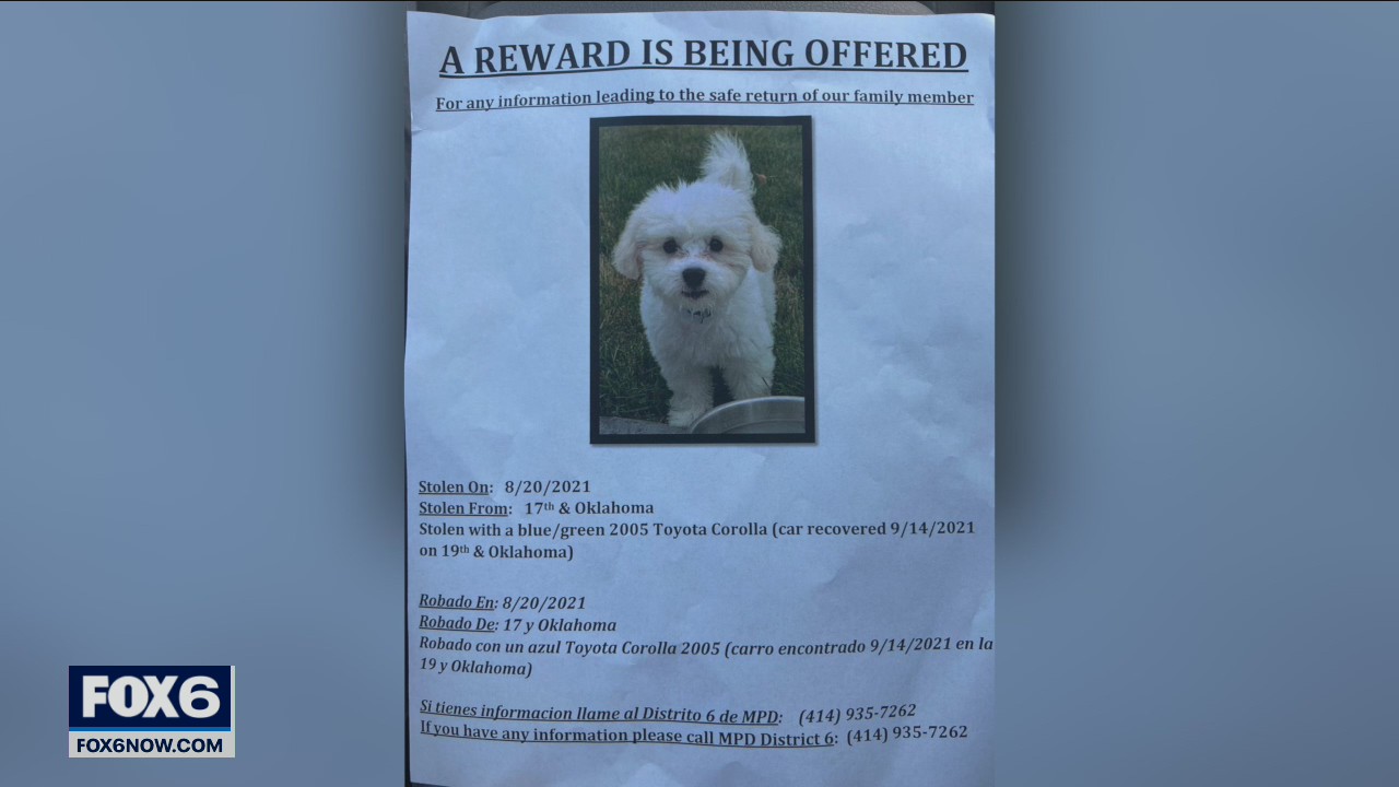 Oak Creek family searches for stolen puppy